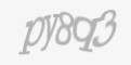 Защитный код